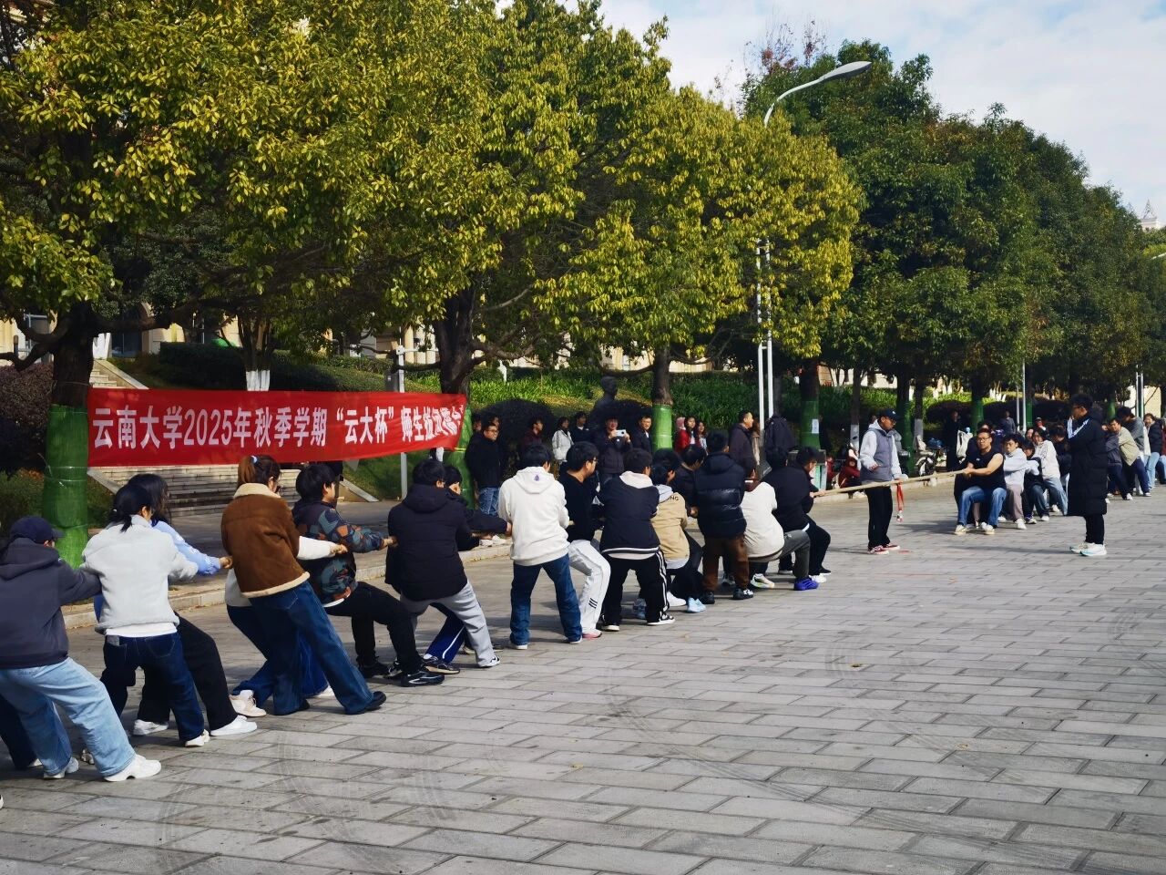 咪咕体育安全通道