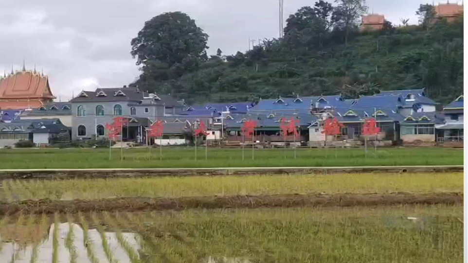 咪咕体育直播