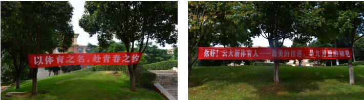 咪咕体育超级联赛